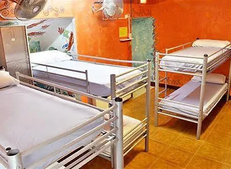 Hotel Arco Youth